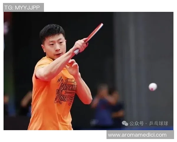 乒乓球的魅力揭秘：深入解析北京乒乓球队的技术与训练秘诀